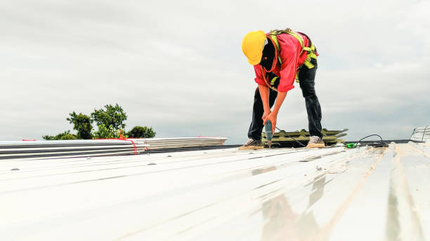Best Gutter Installation and Repair  in , SC