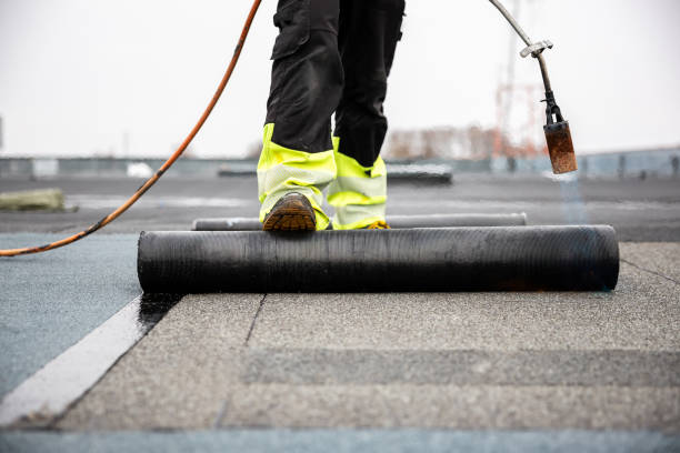 Best Roof Moss and Algae Removal  in , SC