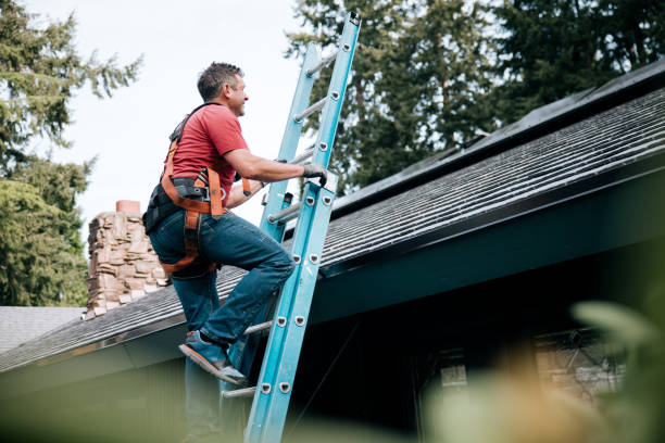 Best Steel Roofing  in , SC