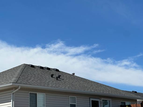 Best Storm Damage Roof Repair  in , SC